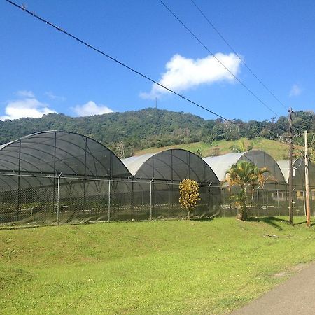 Parador Villas Sotomayor Adjuntas Exteriör bild